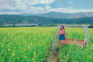 夏日探险，七月，带你逃离尘嚣，拥抱七彩清凉之旅