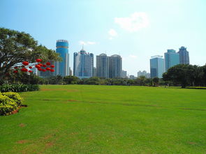 海南大学在台风中痛失校名，不屈的校园精神